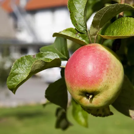 Troense 3* Vindeby (Svendborg)